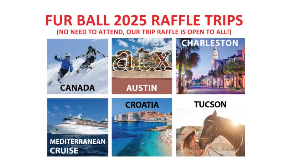 Raffle 2025